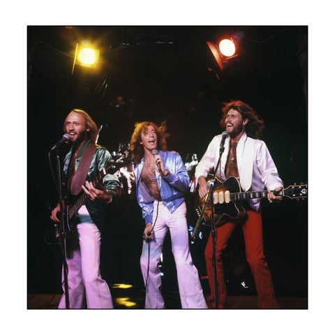 What The Band Wore Book