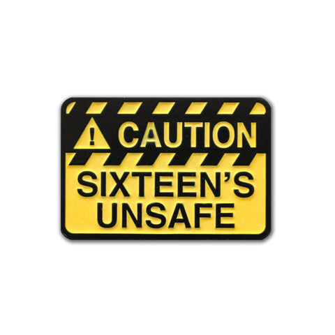Blink 182 Sixteen's Unsafe Pin