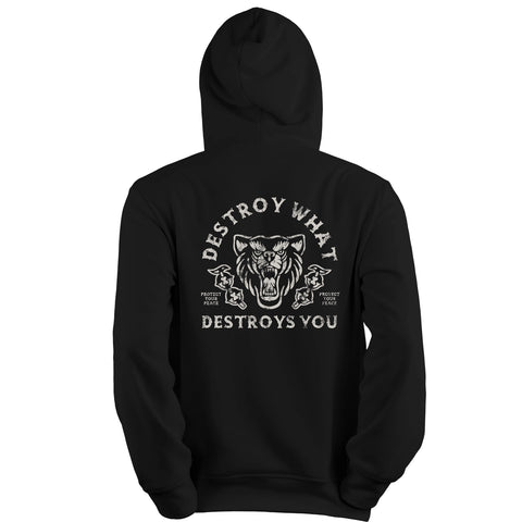  Destroy What Destroys You Hoodie