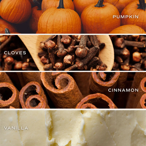  Pumpkin Spiced Boxed Candle