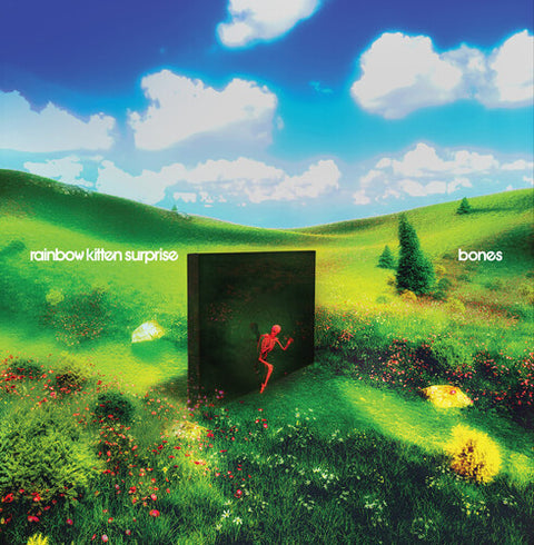 Rainbow Kitten Surprise - bones (Banana Colored Vinyl)
