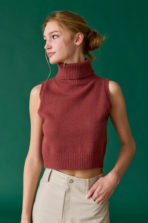  Alice Turtle Neck Knit Top