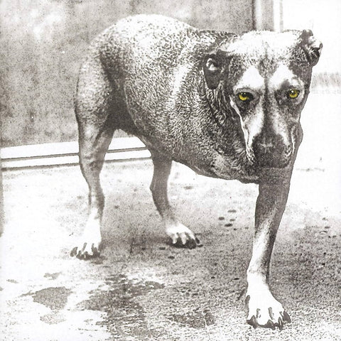 Alice In Chains - Self Titled