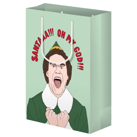 Elf Gift Bag