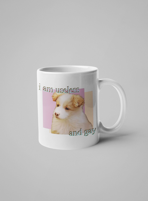 I Am Useless And Gay Mug