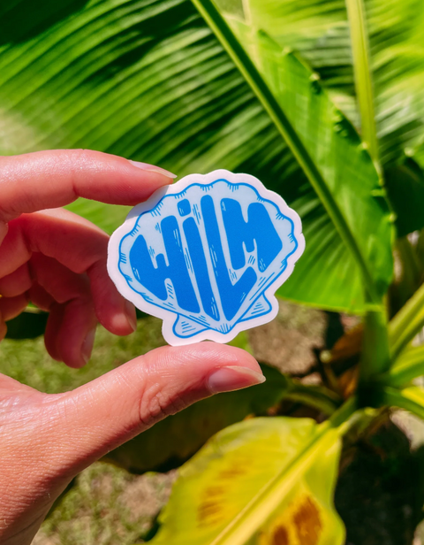 Wilm Seashell Sticker