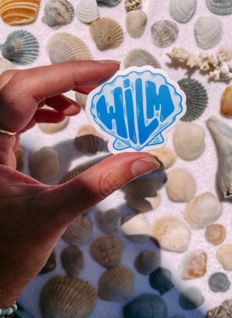 Wilm Seashell Sticker