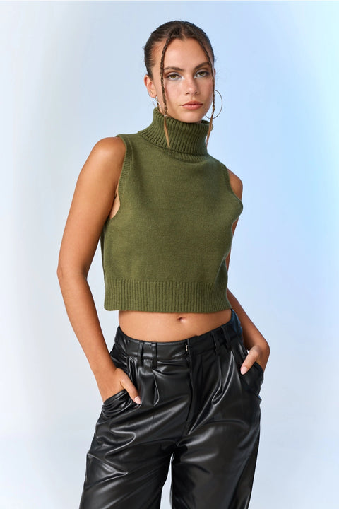  Alice Turtle Neck Knit Top