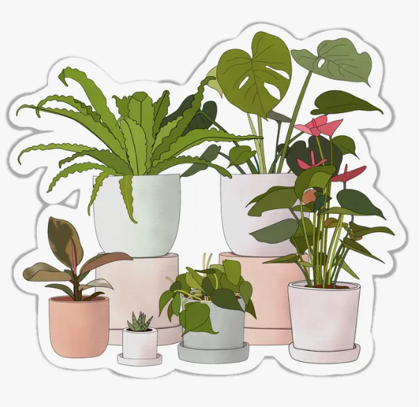 Potted Plants Sticker – Modern Legend, LLC.