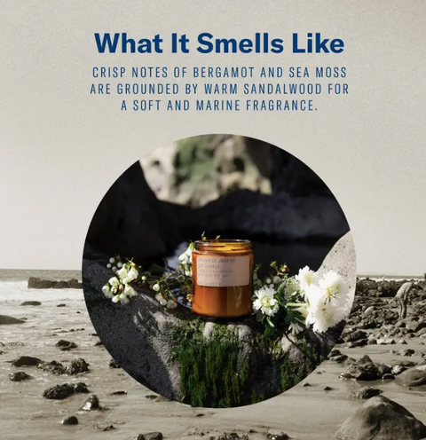  Saltwater Jasmine Candle
